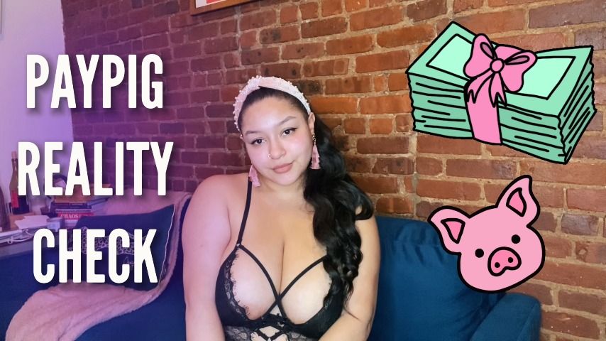 Paypig Reality Check - Dec 21, 2021