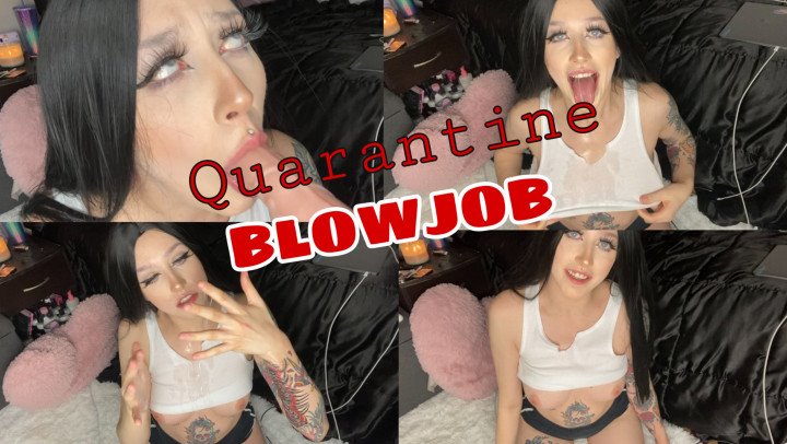 Pink Drip Quarantine Blowjob