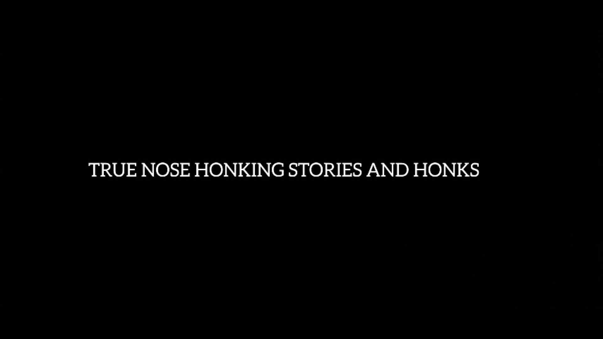 TRUE STORY ABOUT NOSE HONKINGS AUDIO PART 1