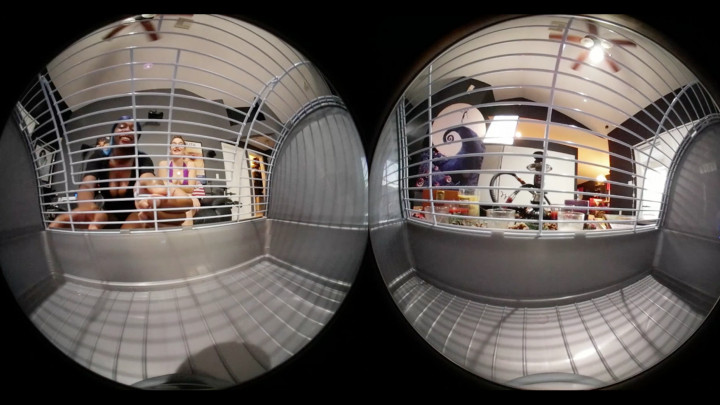 VR360* Teased By Sexy Giantess Masters
