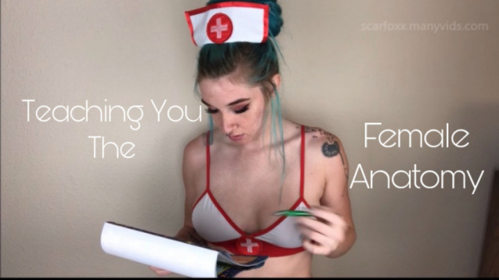 Teaching you the Female Anatomy