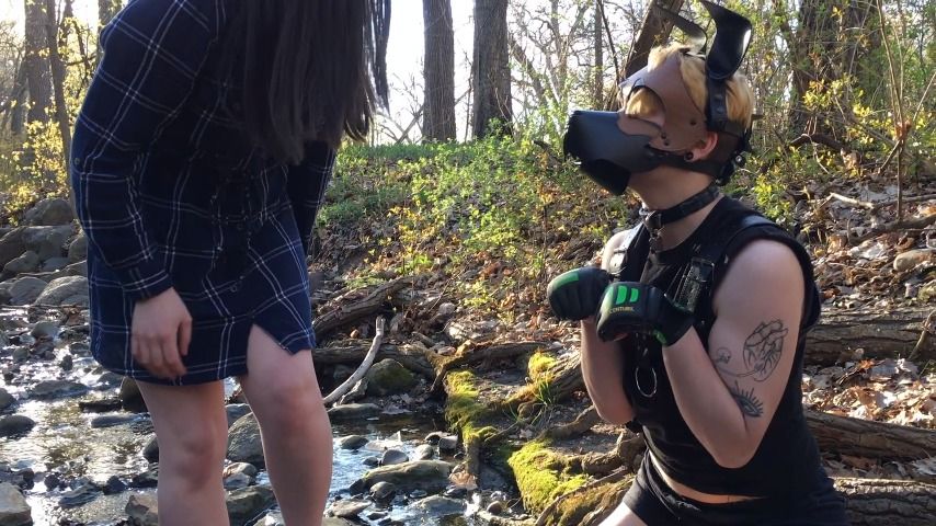 Taking pup for a walk