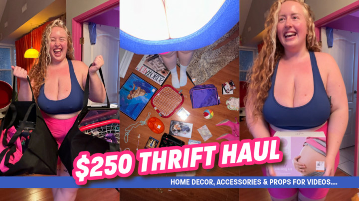 Funky Home Decor & Prop Thrift Haul - February 03, 2025
