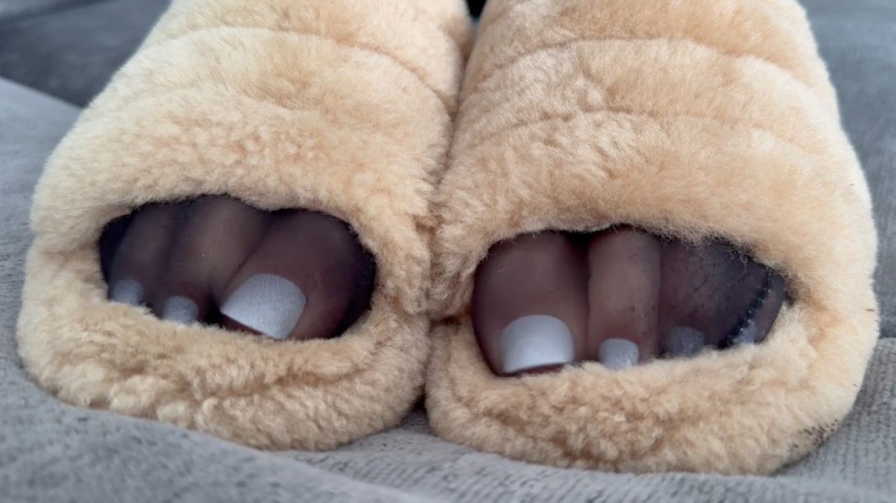 Slipper Pup