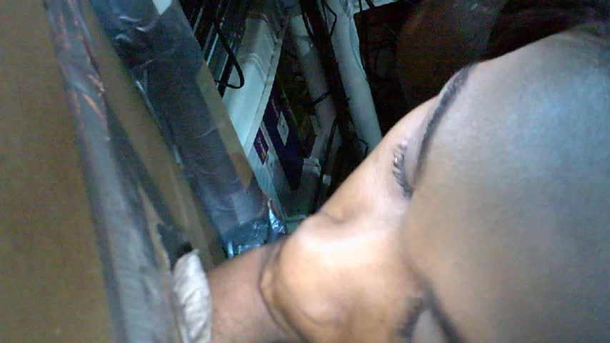Bella Star gives great head then we bang