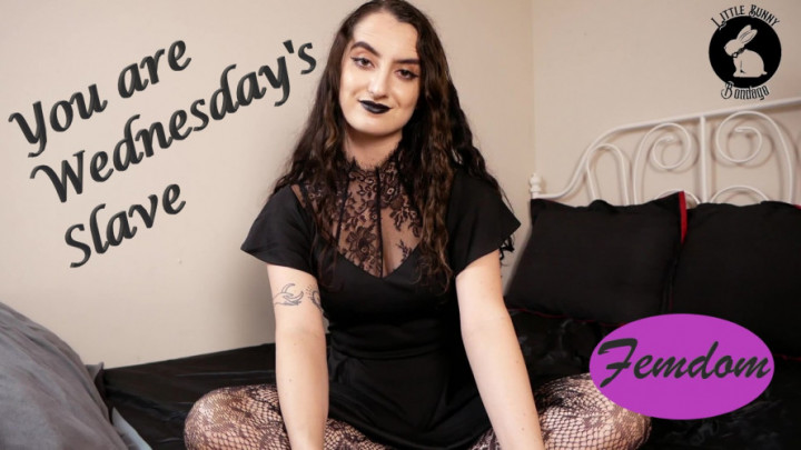 Wednesday Makes You Her Submissive - Aug 11, 2022