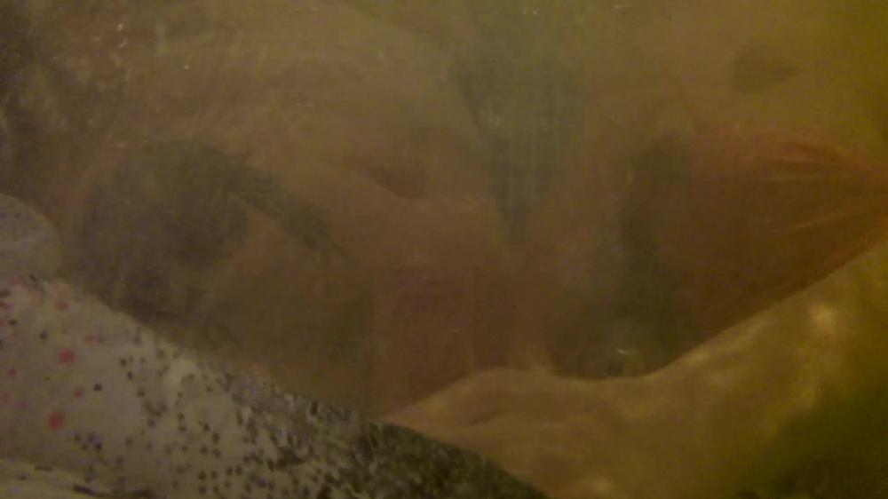Kinkyporncpl Teasing And Hand Job In Public Jacuzzi