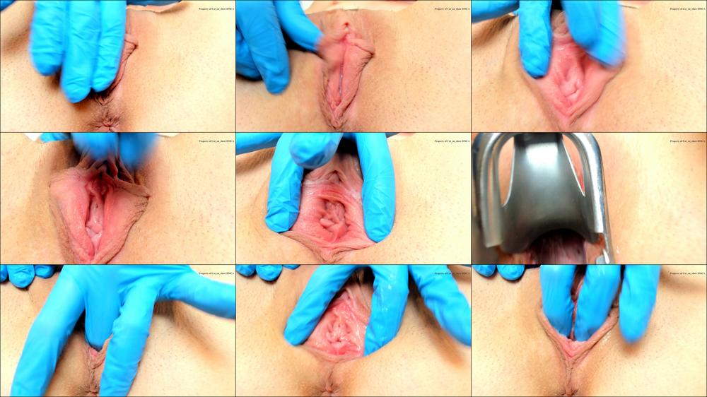 Brief Female Genital Anatomy W/ Gloves