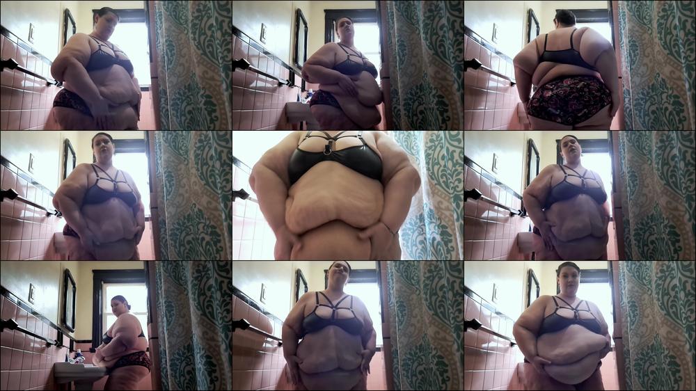 Too Fat for My Bathroom