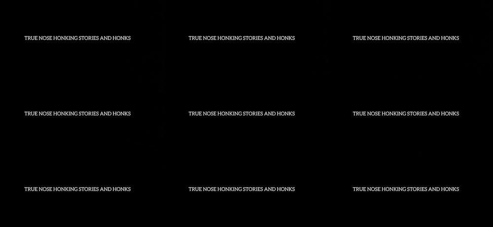 TRUE STORY ABOUT NOSE HONKINGS AUDIO PART 1