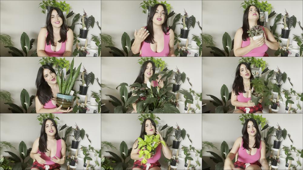 Which Houseplant is Right for You