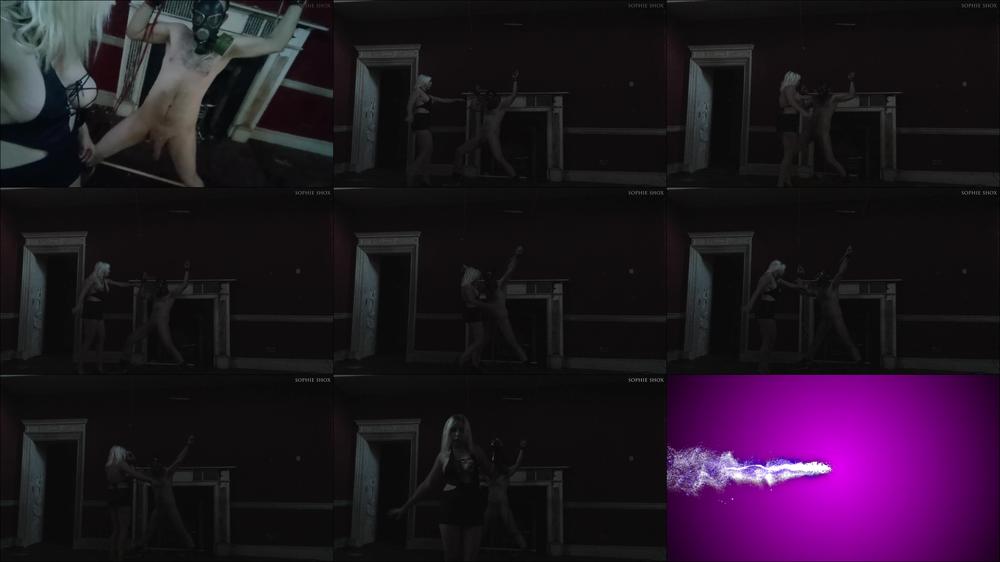Sophieshox Haunted House Ballbusting