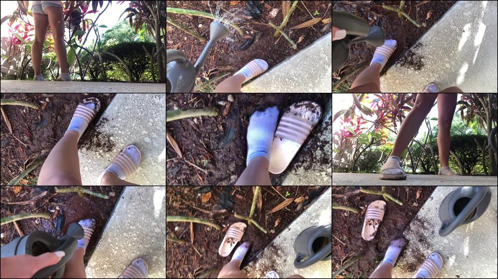 Dirty Socks In The Garden