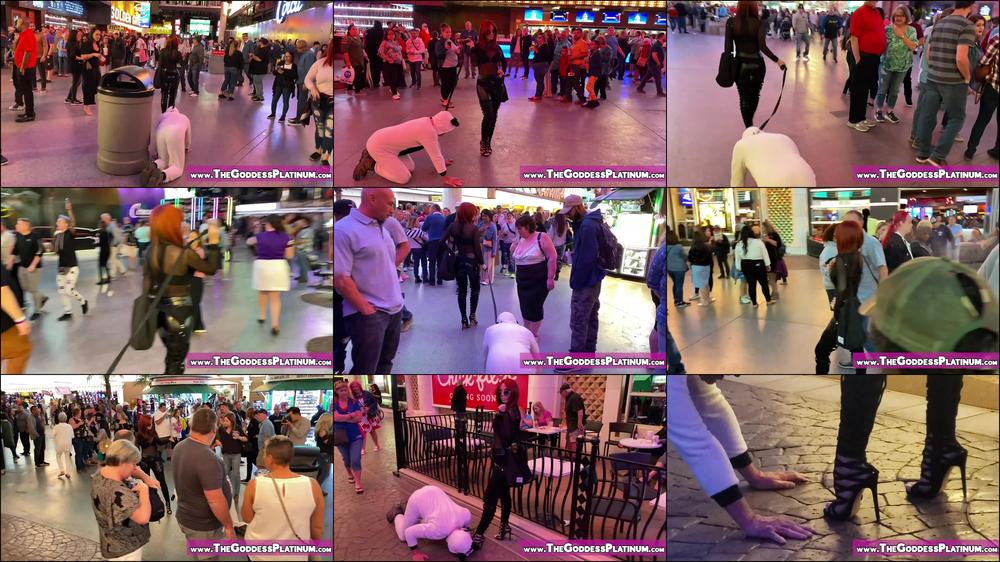 Public Mutt Crawl - January 12, 2021
