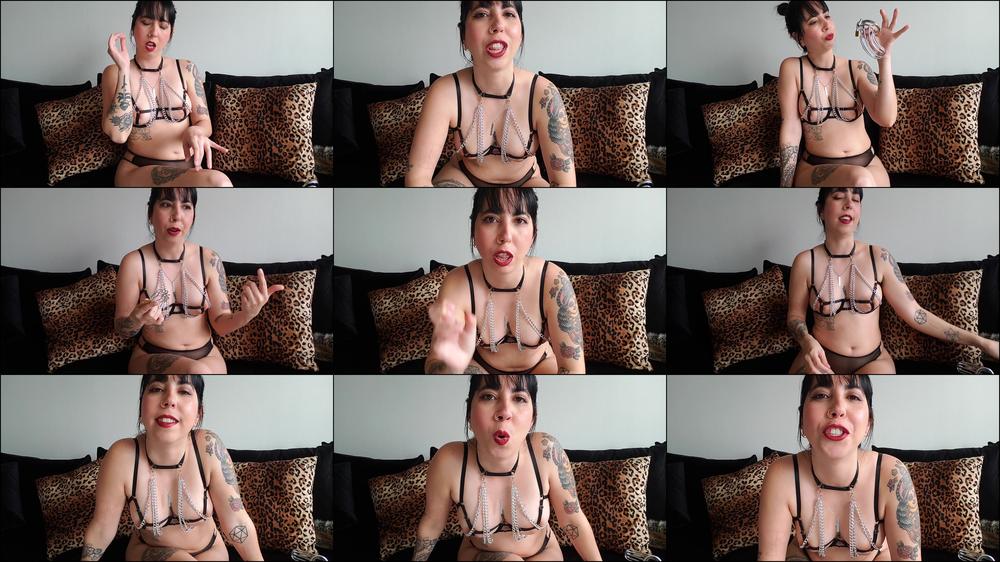 Shrimp Dicks Belong in Chastity - SPH