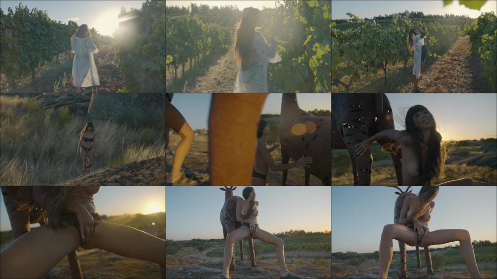 Outdoor Masturbation in Vineyards - November 28, 2022