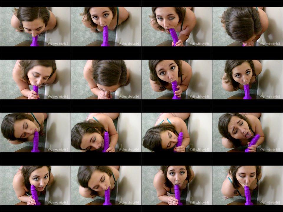 Dirtybirdyy Pov Dildo Blowjob