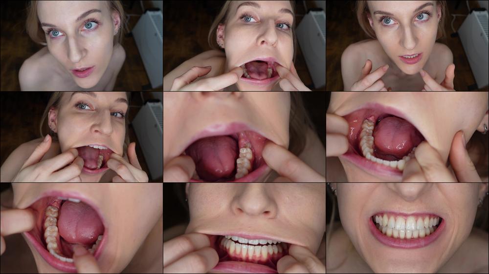 Teeth And Molars Tour Dental History