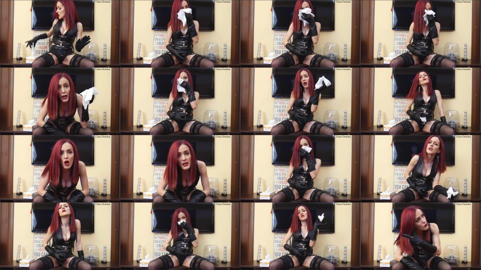 Claradomme Humiliating Joi Part 2 Custom