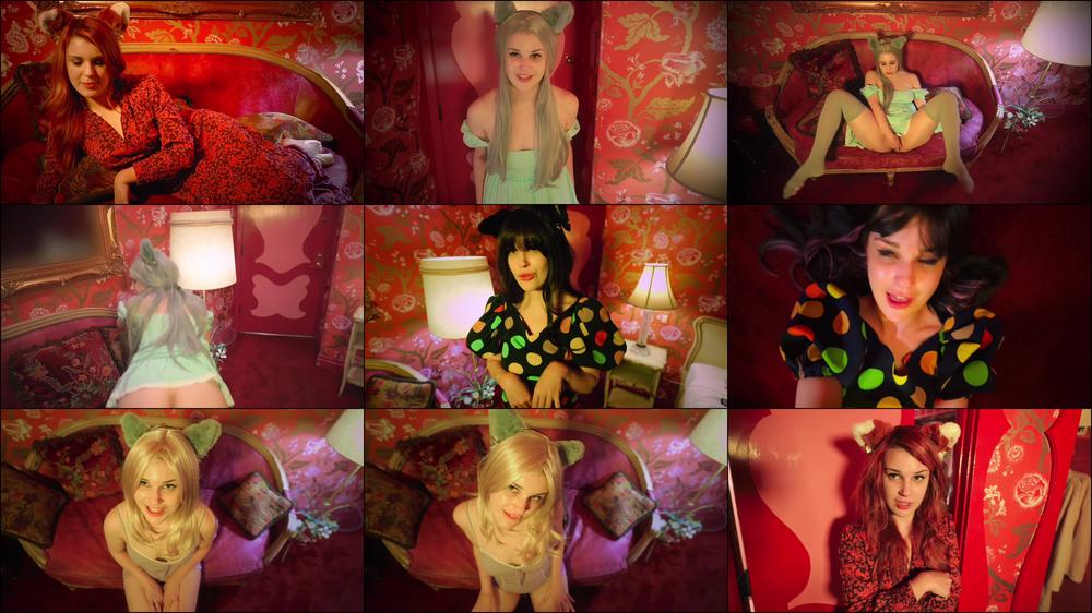 Crazy Cat Girl 2: The Cattery