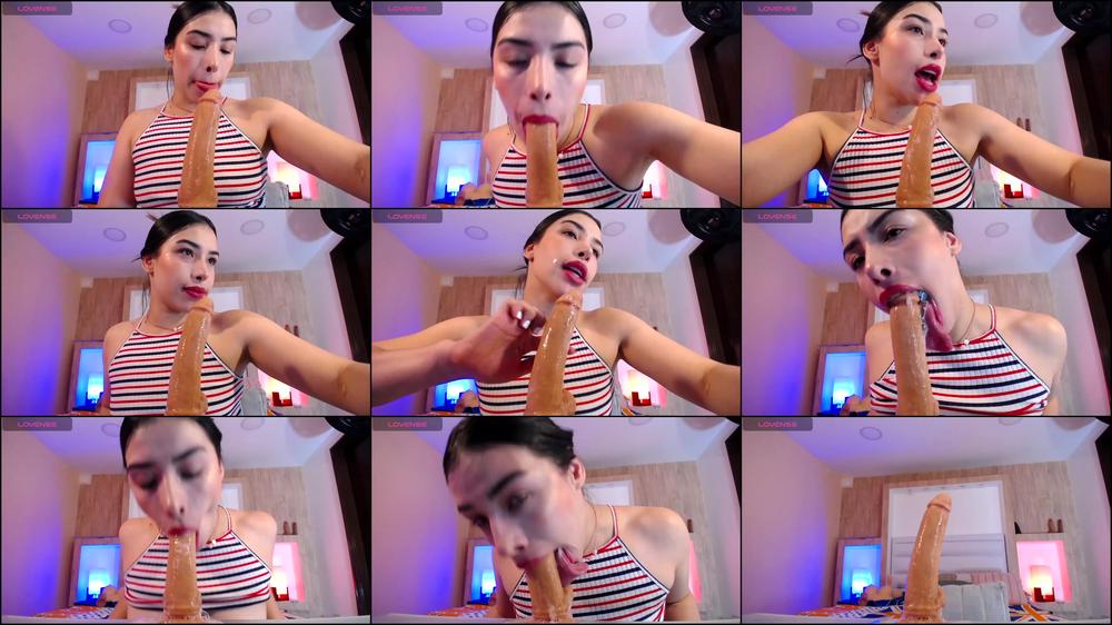 A Saliva-Covered Dildo's Erotic Encounter with a Latina