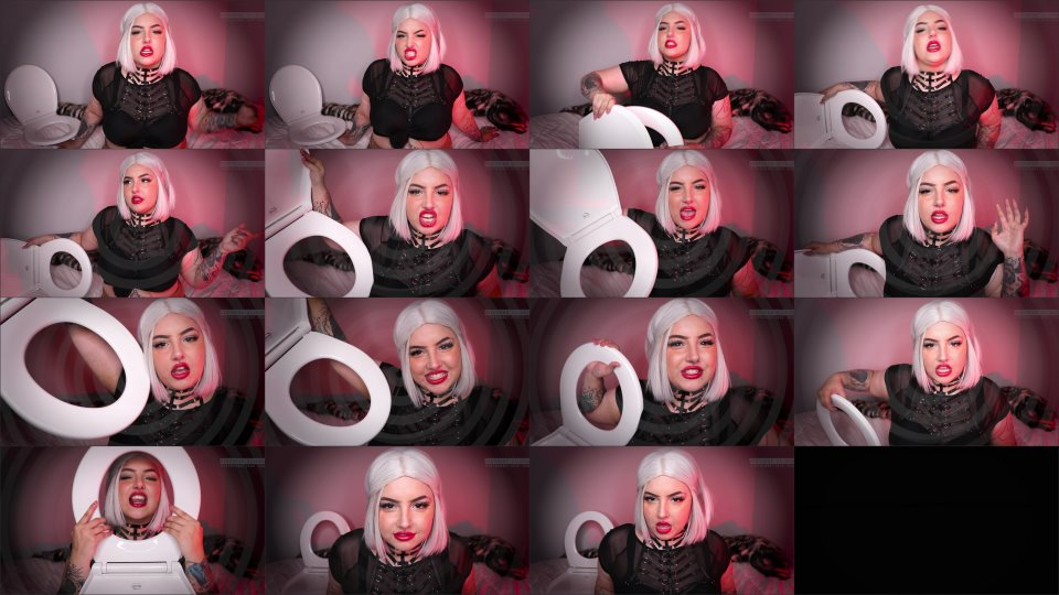 Mistressbijoux Toilet Slave Reprogramming