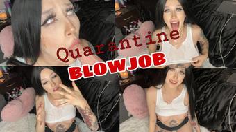 Pink Drip Quarantine Blowjob (Pink Drip)