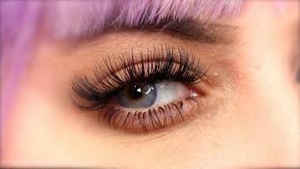Mistressbijoux Eyelash Worship (mistressbijoux)