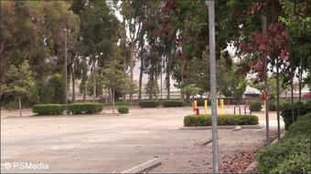Beccahbutler Cumming In Public Public Orgasm (MIX)