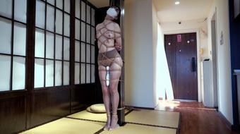 The Lonely Lady And The Plumber Part 3 (bondagetea)