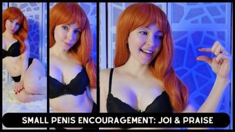 Small Penis Encouragement: JOI & Praise - September 04, 2023 (TheTinyFeetTreat)
