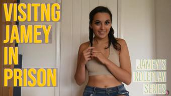 Visiting Jamey In Prison (Summer Fox)