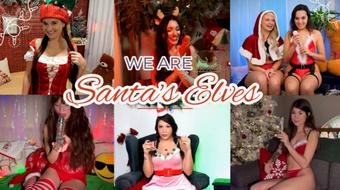 We Are Santa's Elves (Summer Fox)