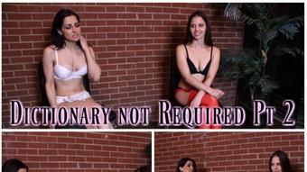 Fetishland Studios Dictionary Not Required Pt 2 (Fetishland Studios)