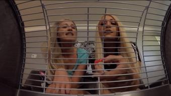 U R Tiny Pet For Britteni & Constance (Ginary)