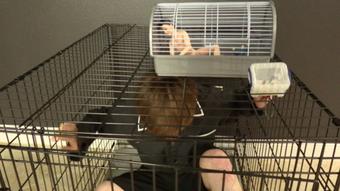 2 Amazon Goddess Dom & Eat Shrunk Slaves (Ginary)