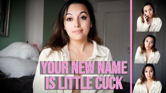 Your New Name Is Little Cuck (Summer Fox)