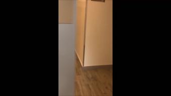 Bustybbwsteph Public Toilet Visit (BustyBBWSteph)