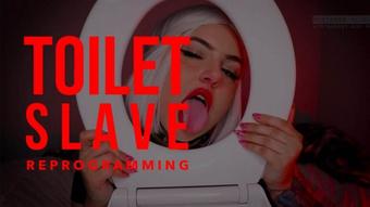 Mistressbijoux Toilet Slave Reprogramming (mistressbijoux)