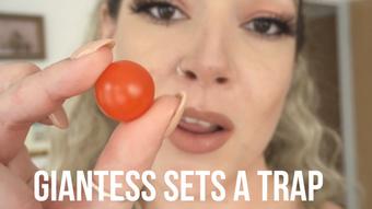 Giantess Sets A Tiny Trap - August 14, 2023 (SashaCurves)