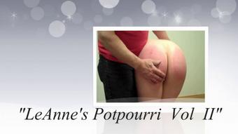 LeAnne's Potpourri Volume Two (Spank Her 4 Real)