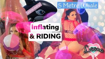 5 METRE INFLATABLE PINK WHALE- BLOW/FUCK - August 23, 2022 (LoonaPop)