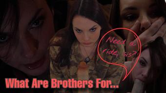 What Are Brothers For (Miss Malorie Switch)