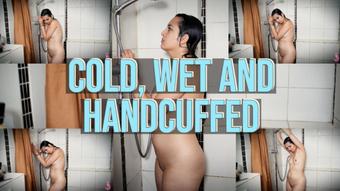 Cold, Wet And Handcuffed (Summer Fox)
