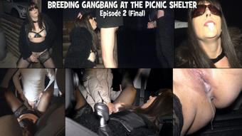 Breeding gangbang at the picnic shelter - Episode 2 (gangbangwife)