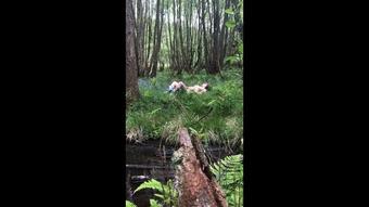 Pussy Play in the Forrest (SuzieLove212)