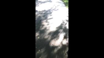 The Riskiest Public Humiliation War (Miss Ellie)