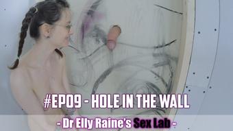 Lumeproductions Hole In The Wall Sex Lab Ep09 (lumeproductions)