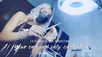Mistress Euryale Your One And Only Castration (Mistress Euryale)