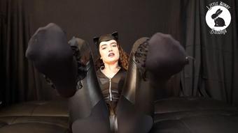 Catwoman's Feet - Nov 8, 2022 (LittleBunnyB)